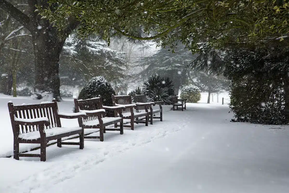 Coaches discussing lineup decisions with players on the court